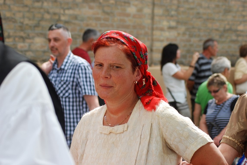 DSC_1770 (Medium).JPG